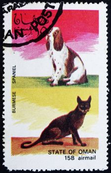 OMAN - CIRCA 1972: a stamp printed in the Oman shows Burmese Cat and Spaniel Dog, circa 1972