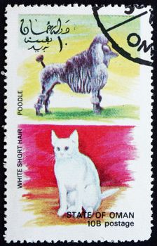 OMAN - CIRCA 1972: a stamp printed in the Oman shows White Short Hair Cat and Poodle Dog, circa 1972