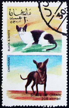 OMAN - CIRCA 1972: a stamp printed in the Oman shows Black and White Cat and Chihuana Dog, circa 1972