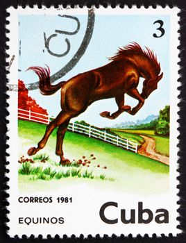 CUBA - CIRCA 1981: a stamp printed in the Cuba shows Horse, Equus Ferus Caballus, circa 1981