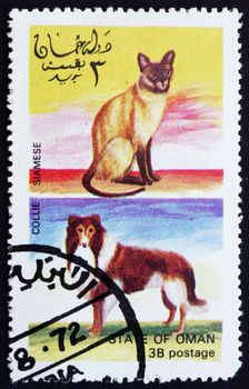 OMAN - CIRCA 1972: a stamp printed in the Oman shows Siamese Cat and Collie Dog, circa 1972