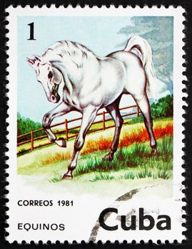 CUBA - CIRCA 1981: a stamp printed in the Cuba shows Horse, Equus Ferus Caballus, circa 1981