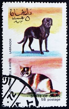 OMAN - CIRCA 1972: a stamp printed in the Oman shows Tortoiseshell and White Cat And Labrador Dog, circa 1972