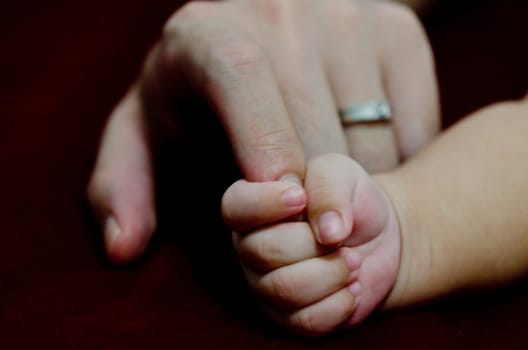 son holding his father's finger