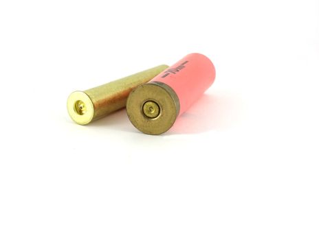 Two hunting cartridges