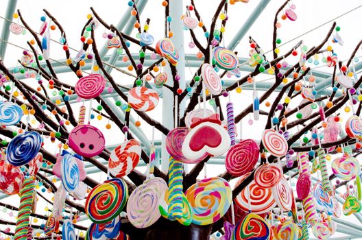 candy tree