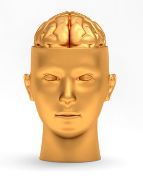 Gold brain in gold head is opened