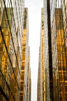 a array of golden skyscrapers