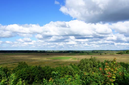 Field on a background of the cloudy sky