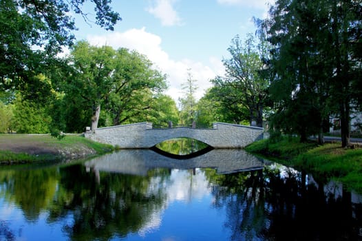 The white bridge on a background of a pond and trees