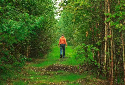 Man Walking in the Wet Forest