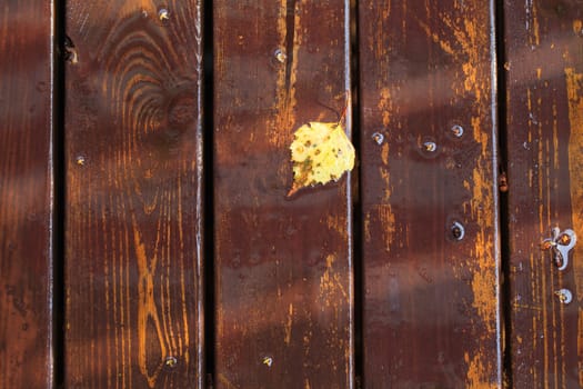 Background of the Wooden Board Floor, closeup