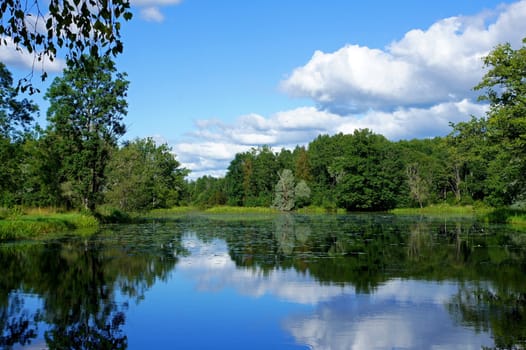 Lake and trees on a background of the blue sky