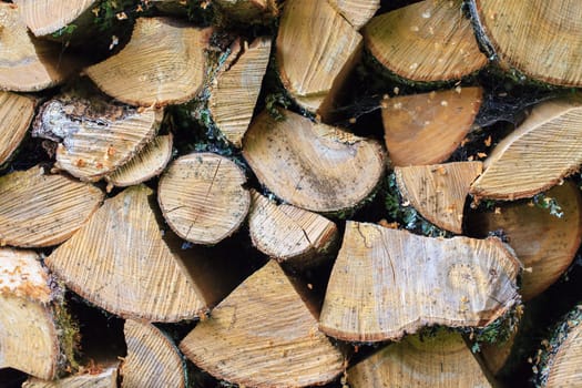 Background of Stacked Chopped Firewood Logs, closeup