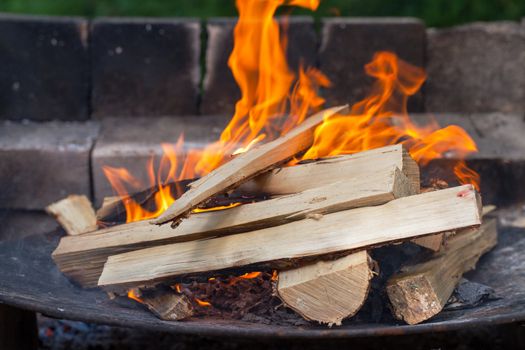 Burning Wood In The Fireplace. Closeup