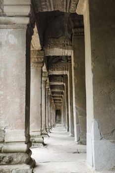 The ancient ta phrom made famous by the trees and tomb raider