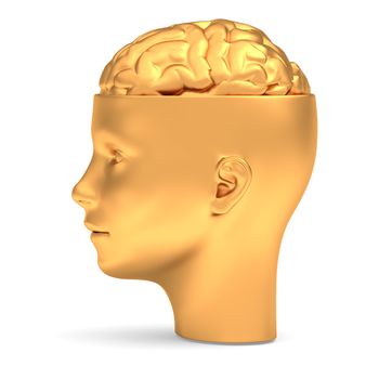 Gold brain in gold head is opened