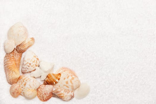 Sea Shell Border on White Fluffy Towel Texture Background with Copy Space