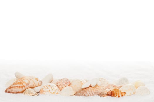 Sea Shell Horizontal Border on White Towel Texture Background with Copy Space