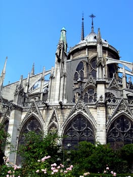  Famous french cathedral Notre Dame in Paris from the back side with trees