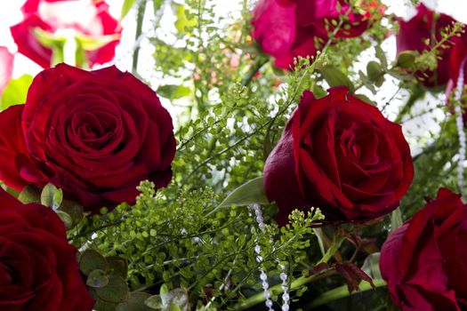 Gorgeous bouquet of red roses on a white background. Fragment.