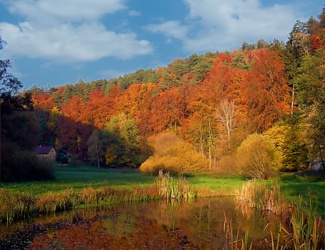 Beautiful colorful forest in the late fall / autumn with a hidden lodge and a pond         