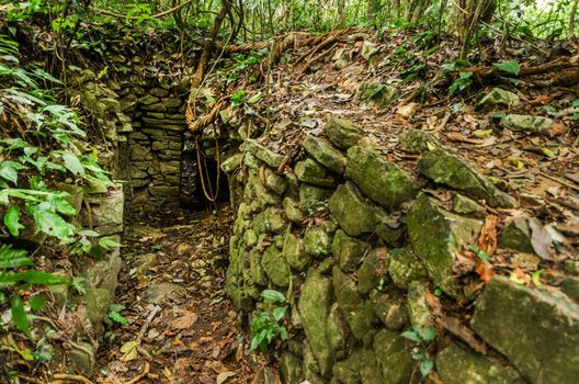 A ruined building deep in the jungle near the Mayan city of Palenque