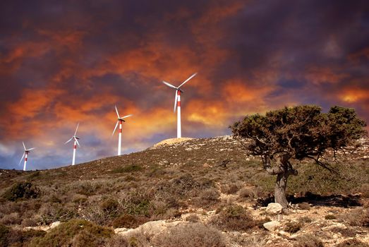 Wind turbines in movement, small tree at a beautiful dramatic sunset