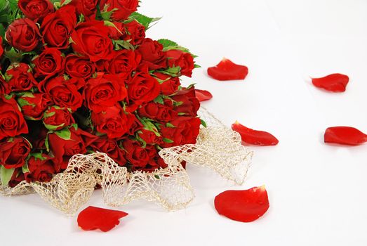 Bunch of red roses isolated on the white background with petals around