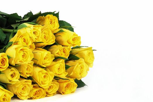 Yellow roses with leaves - natural texture with fresh flower buds isolated