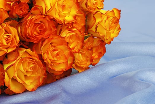 Beautiful orange roses are laying on blue satin - symbol of anniversary