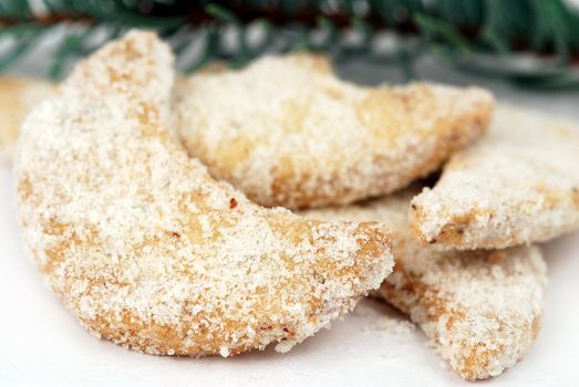 Detail o christmas cookies on the white background with a pine branch