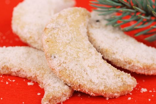 Detail o christmas cookies on the red background with a pine branch