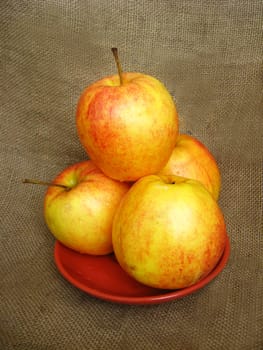 tasty and ripe apple on the grey background