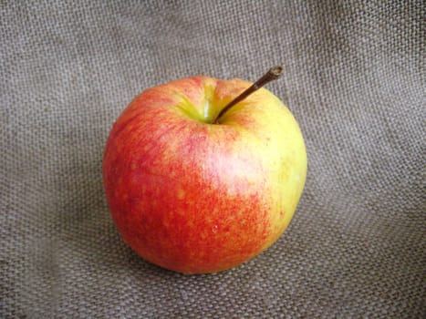 tasty and ripe apple on the grey background