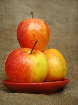 tasty and ripe apple on the grey background