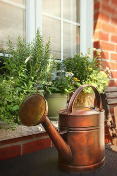 Pots of flowers and herbs on window ledge