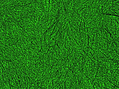 Green abstract background of bushes and moss