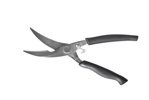 Scissors for cutting meat and chicken on a white background.