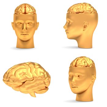 Gold head in three projections and brain, isolated over white.