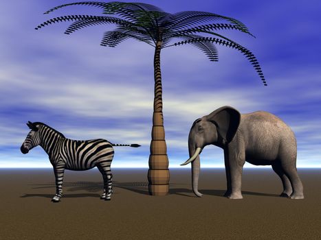 elephant and zebra and palm