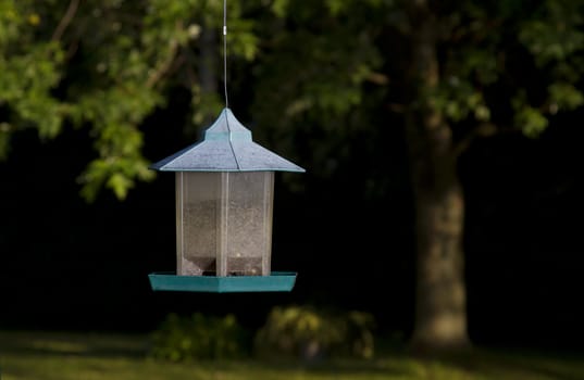 dirty bird feeder against a wooden area background