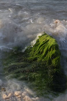 rock covered with green algea being pounded by waves