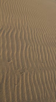 Wind blown sand at sunrise
