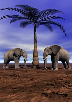 elephants and palm and sky blue