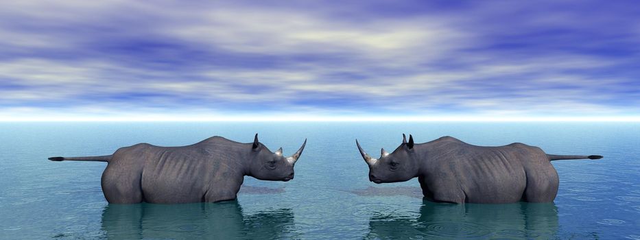 rhinoceros and sky blue