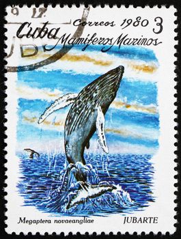 CUBA - CIRCA 1980: a stamp printed in the Cuba shows Cuvier's Humpback Whale, Megaptera Novaeangliae, Marine Mammal, circa 1980