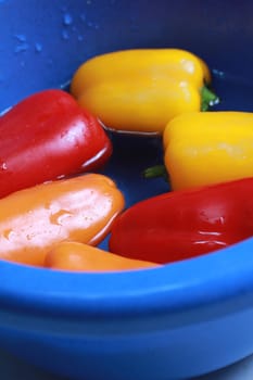colorful mini paprikas in water