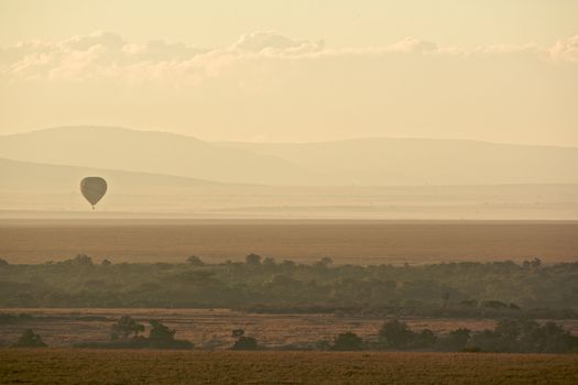 Hot air balloon over the Masai Mara National Reserve at sunrise, Kenya, Africa