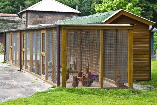 Big Fowl- or Chicken run to protect chicken for the night and bad weather
